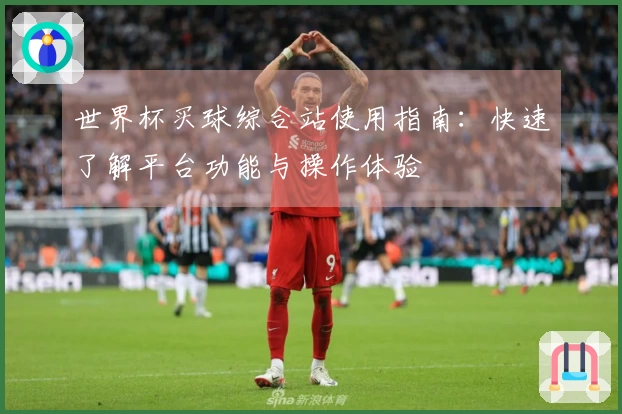 世界杯买球综合站使用指南：快速了解平台功能与操作体验