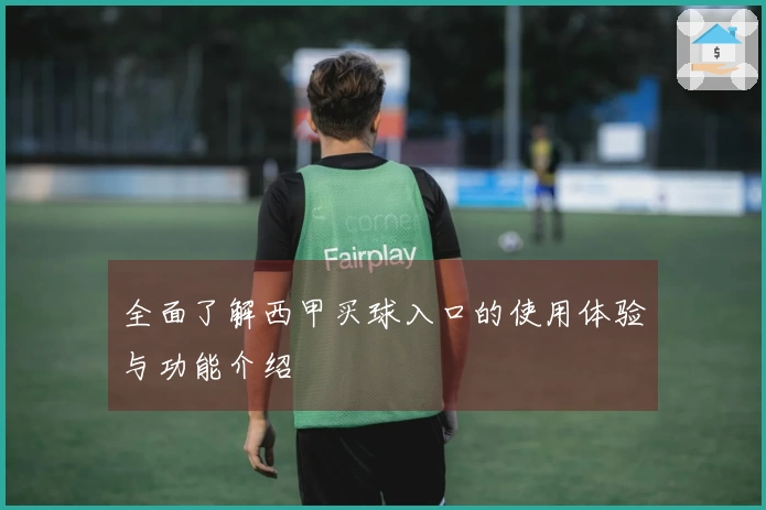 全面了解西甲买球入口的使用体验与功能介绍