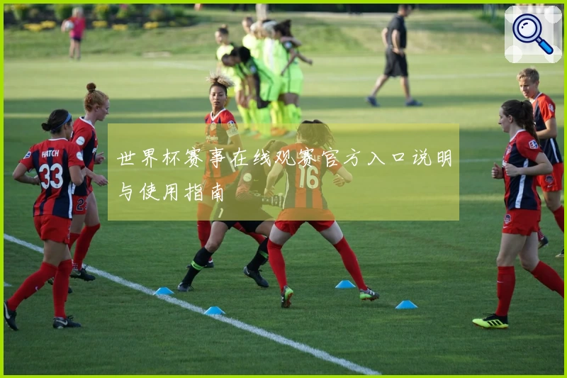 世界杯赛事在线观赛官方入口说明与使用指南