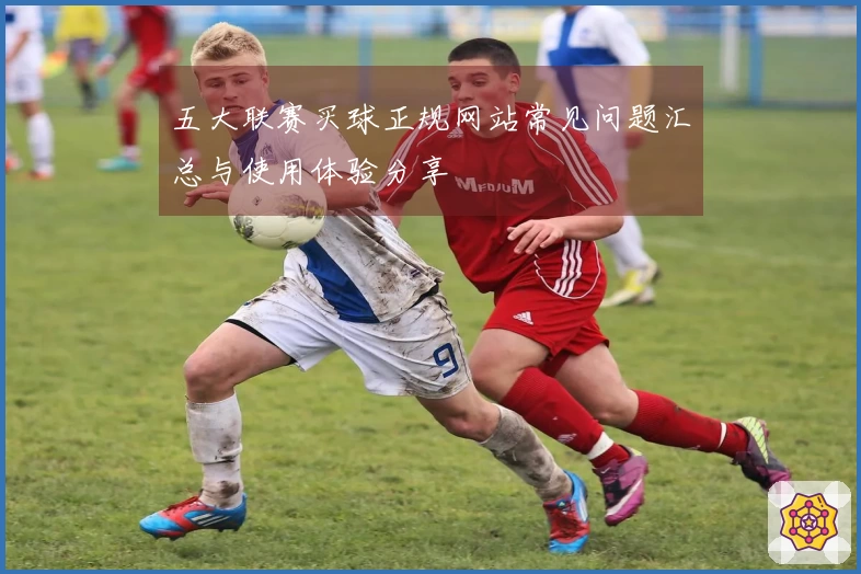 五大联赛买球正规网站常见问题汇总与使用体验分享